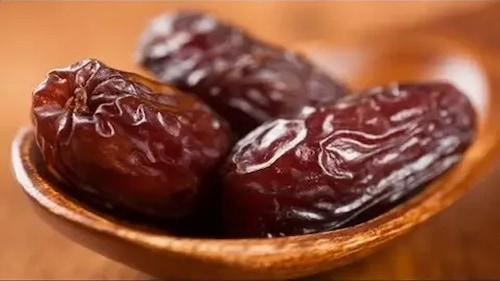 قیمت خرید خرما کبکاب بهبهان + با فروش عمده